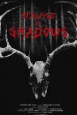 Stalked by Shadows 2024 Movie Cast, OTT, Budget, Box Office, And More