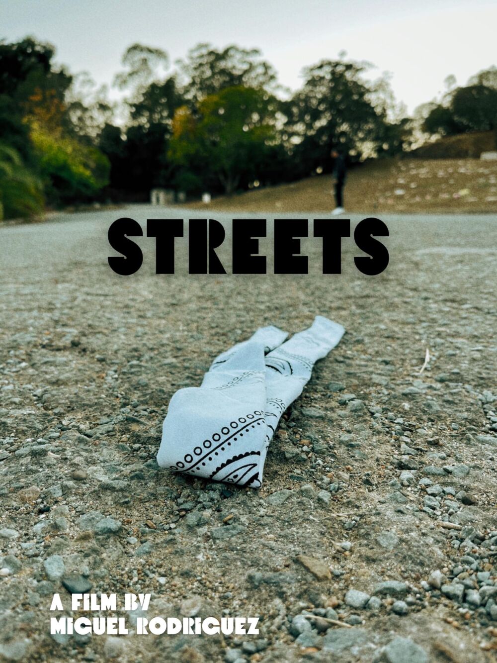 Streets 2023 Movie Cast, OTT, Budget, Box Office, And More