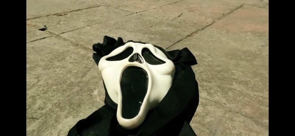The Woodsboro Slasher (A Scream Fan Film) 2024 Movie Cast, OTT, Budget, Box Office, And More