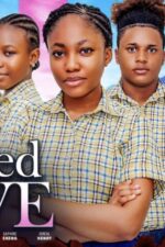 Twisted Love 2024 Movie Cast, OTT, Budget, Box Office, And More