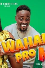 Wahala Pro Max 2023 Movie Cast, OTT, Budget, Box Office, And More